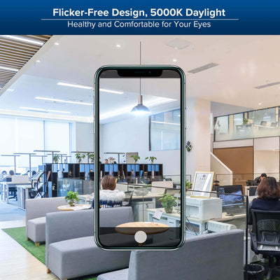 A21 65W LED 5000K Light Bulb (US/CA ONLY)