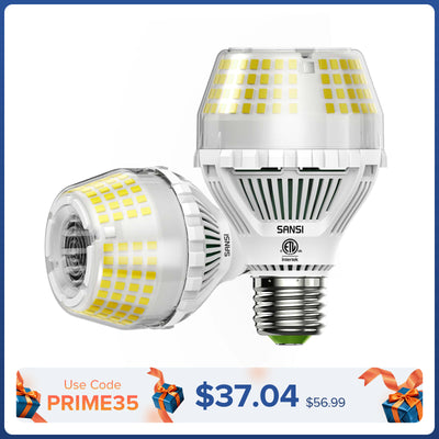 Lampadina LED A19 35W 5000K