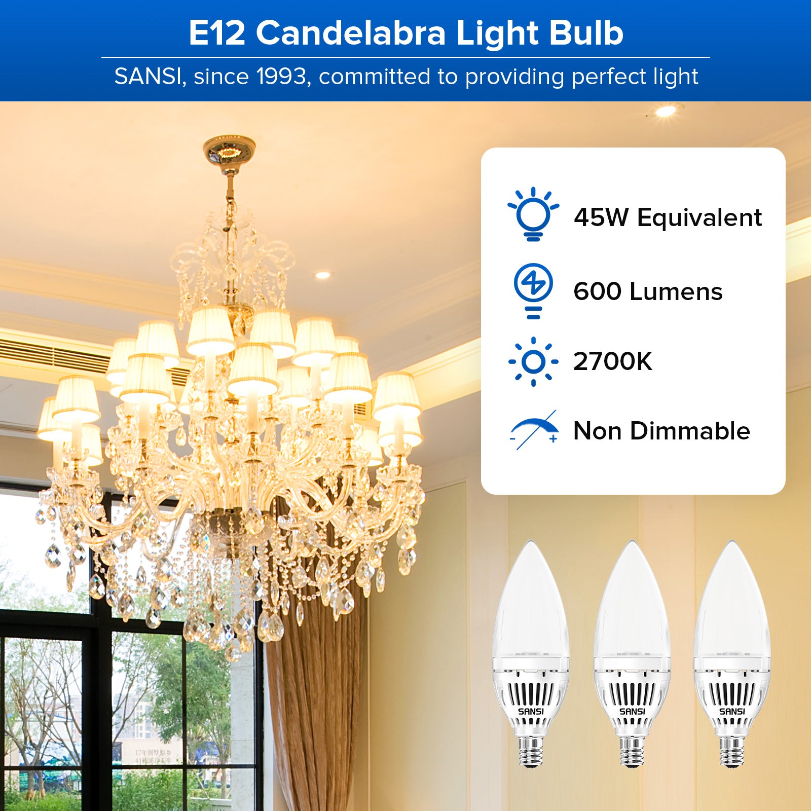 6W Candelabra LED Light Bulb (US ONLY)