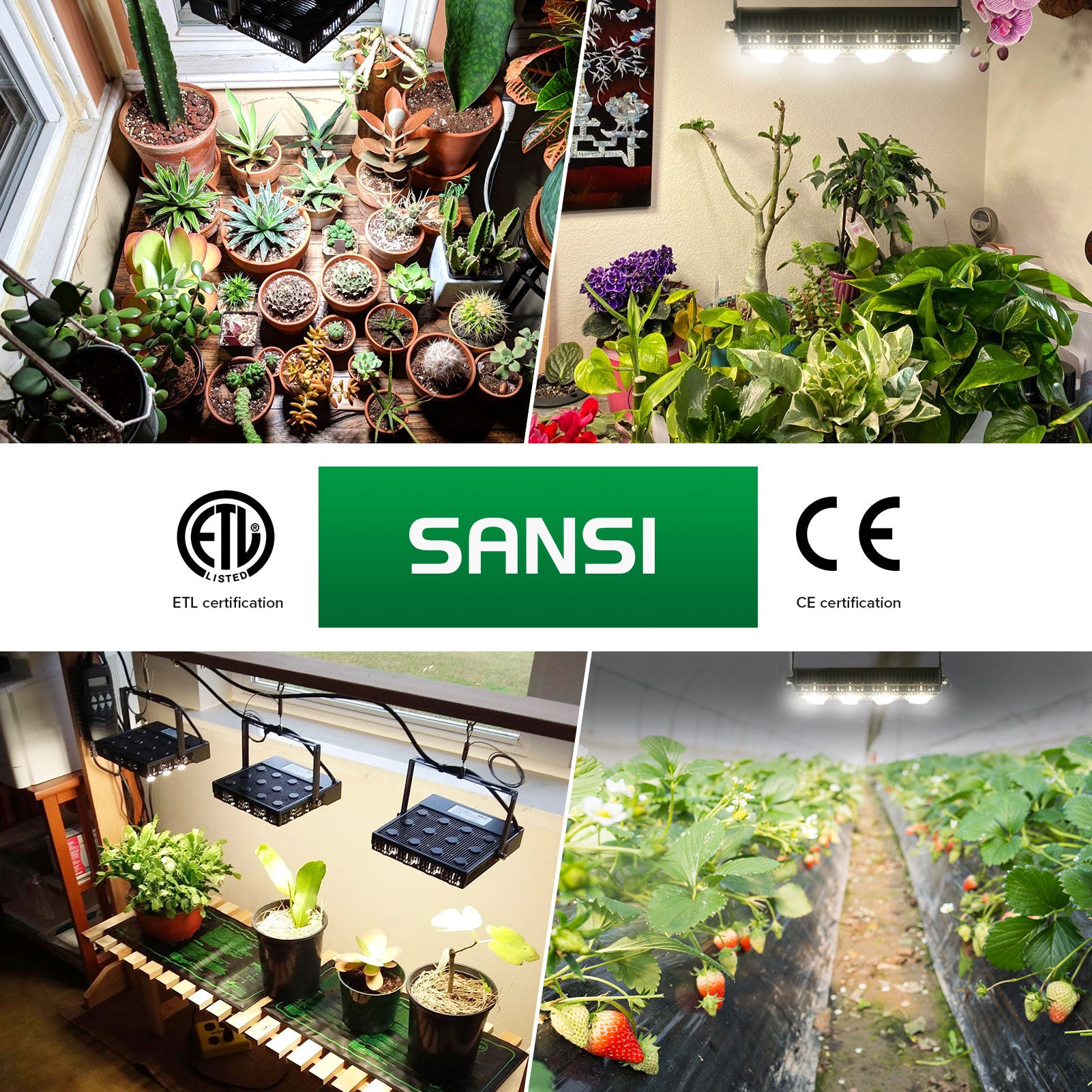 45W LED Grow Light for indoorplanting has ELT and CE certification
