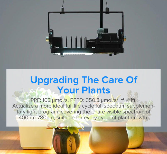 Upgraded Dimmable 70W LED Grow Light,Upgrading The Care Of Your Plants：PPF: 103umol/s, PPFD: 350.3 umol/s/ m²@ft.Actualize a more ideal full life cycle full spectrum supplementary light program, covering the entire visible spectrum of 400nm-780nm, suitable for every cycle of plant growth.