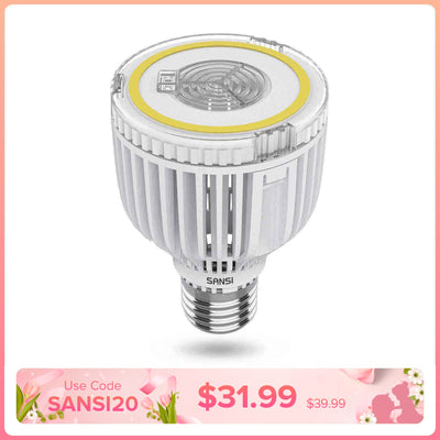 A19 40W LED 3000K/5000K Light Bulb(US ONLY)