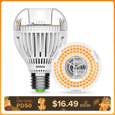 A19 30W LED 3000K/5000K Glühbirne (NUR USA/Kanada)