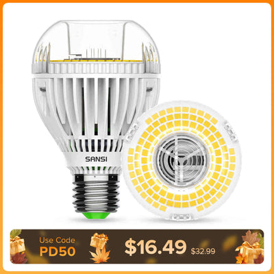 A19 30W LED 3000K/5000K Glühbirne (NUR USA/Kanada)