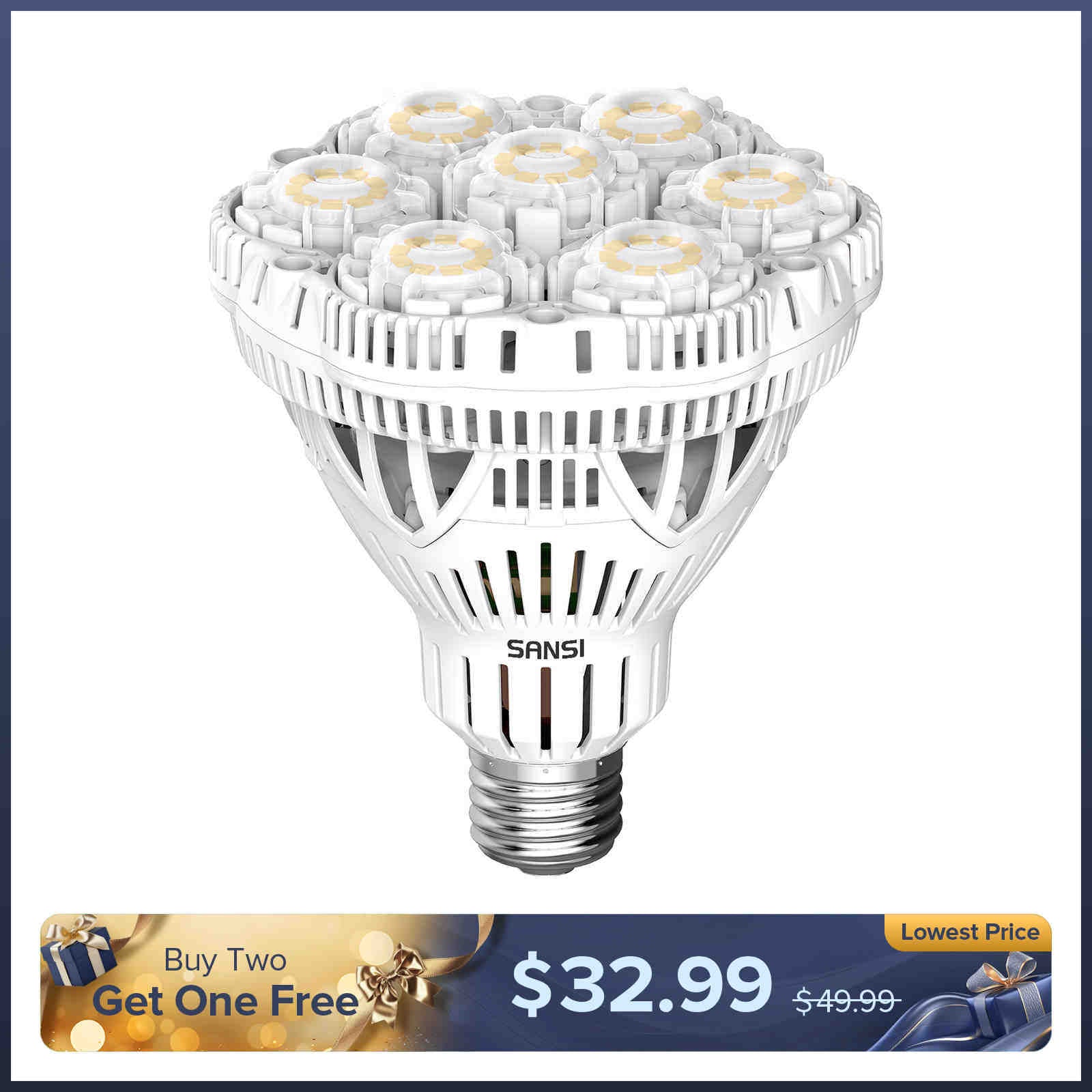 BR30 40W LED Light Bulb