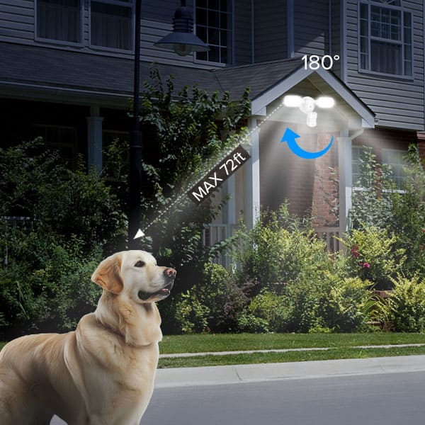Detection Angle and Sensing Distance:
1. 180° detection angle.
2. Max 72ft ultra-sensing distance.