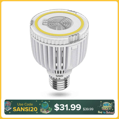 A19 40W LED 3000K/5000K Light Bulb(US ONLY)