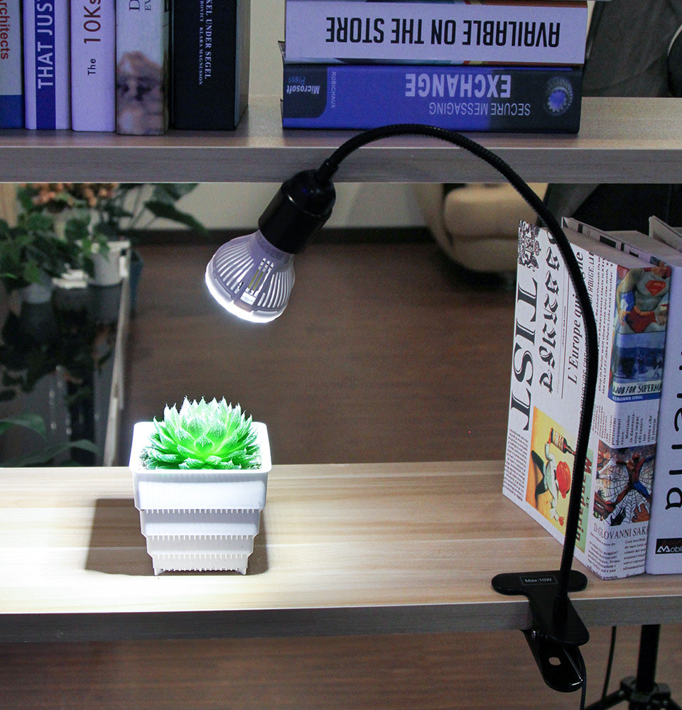 10W Adjustable 1-Head Clip-on LED Grow Light is clipped on the bookshelf, the light of the bulb is on a pot of succulence, succulence grows healthily under the light of the lamp.