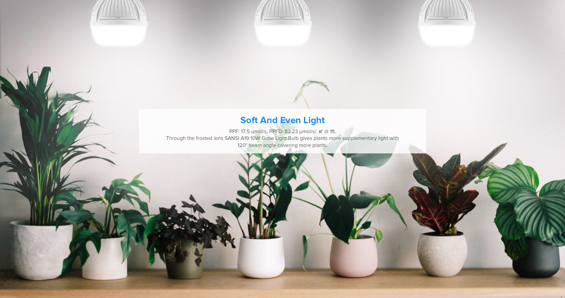 SANSI A19 has white and soft light. Through the frosted lens, A19 10W led grow light bulb gives plants more supplementary light with 120° beam angle covering more plants