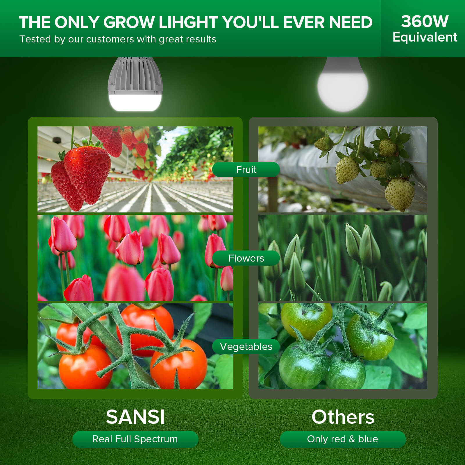 A21 24W LED Grow Light Bulb (US/CA ONLY)