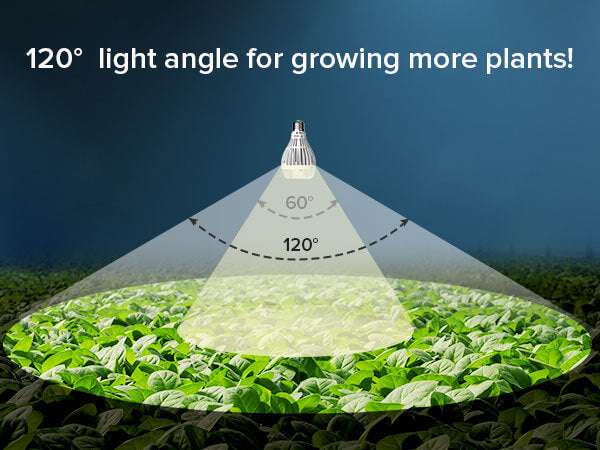 A21 24W LED Grow Light Bulb, 120° light angle for growing more plants!