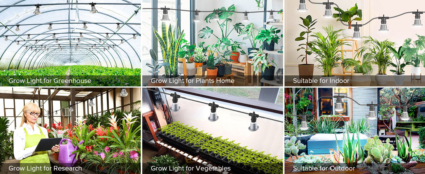 Hanging Grow Light String can be used in wide applications.