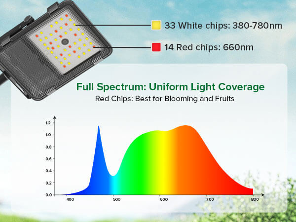 Full Spectrum: Uniform Light Coverage.Red Chips: Best for Blooming and Fruits.
