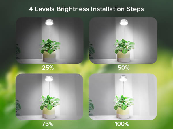 pot clip-on led grow light, 4 levels brightness installation steps