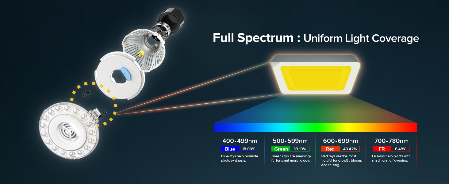 Full Spectrum : Uniform Light Coverage