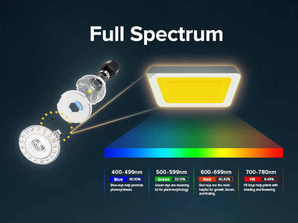 Full Spectrum : Uniform Light Coverage