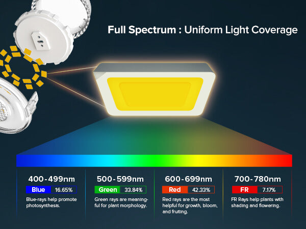 Full Spectrum : Uniform Light Coverage.
