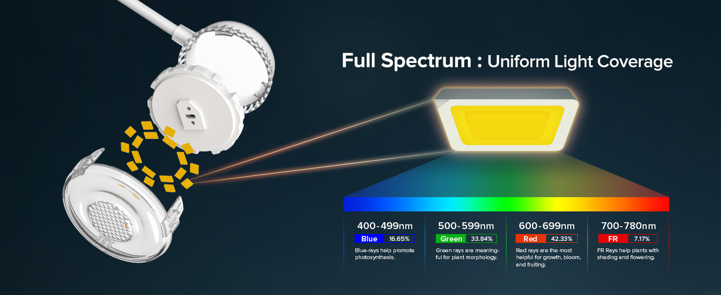 Full Spectrum : Uniform Light Coverage.