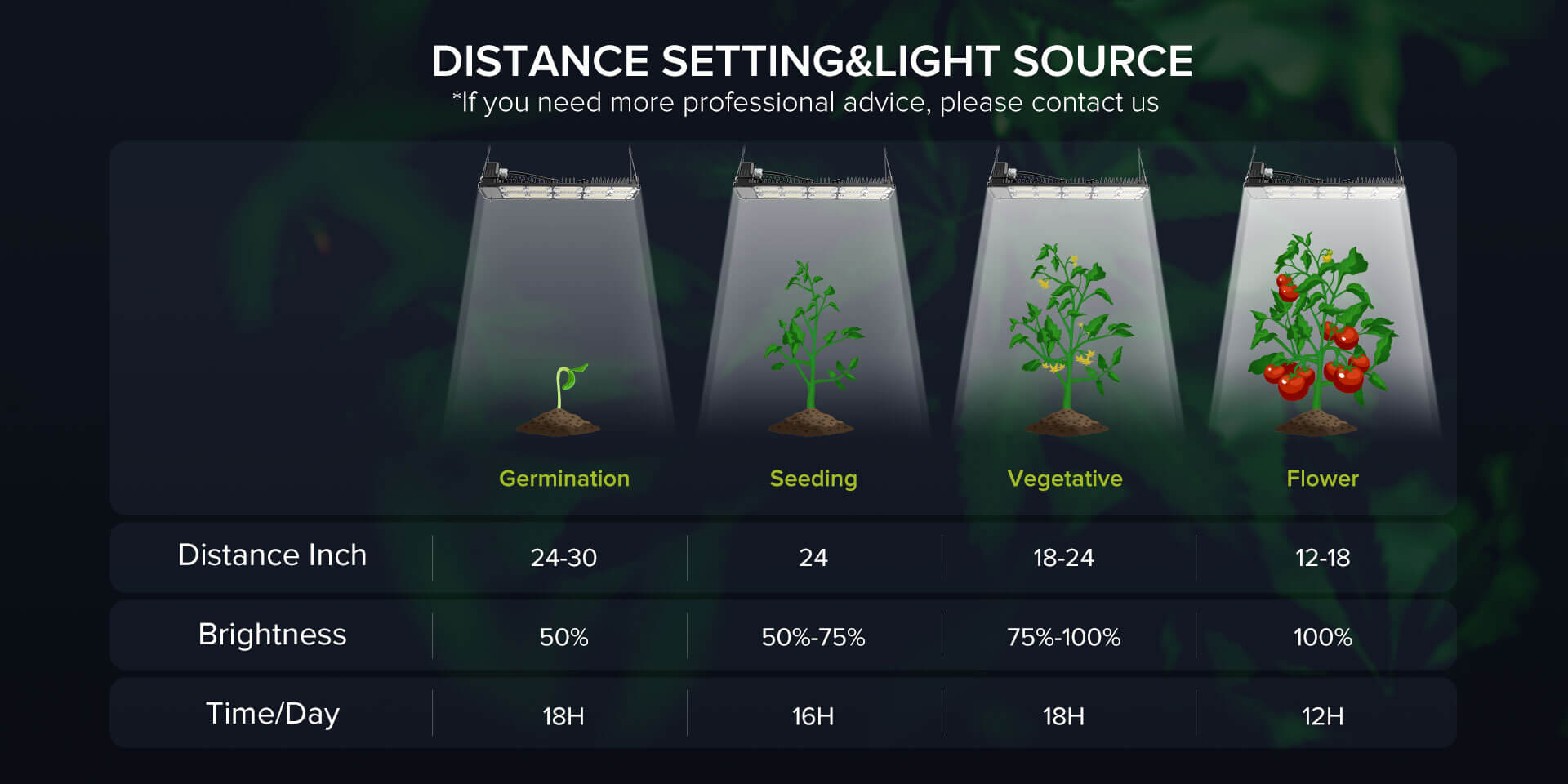 Distance setting, 50% brightness for germination stages