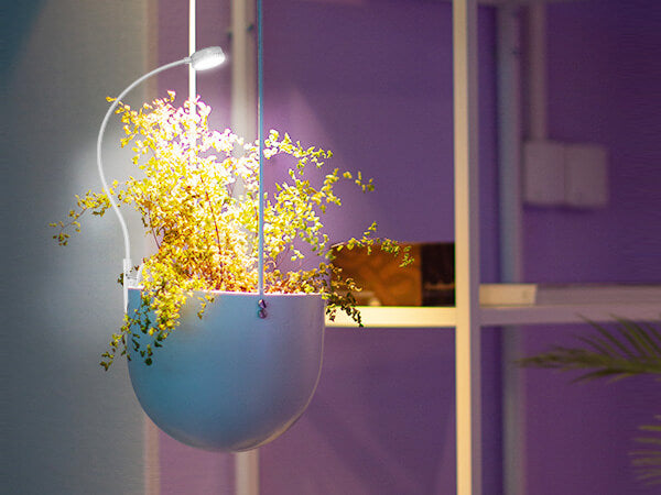 pot clip-on led grow light for home hanging 