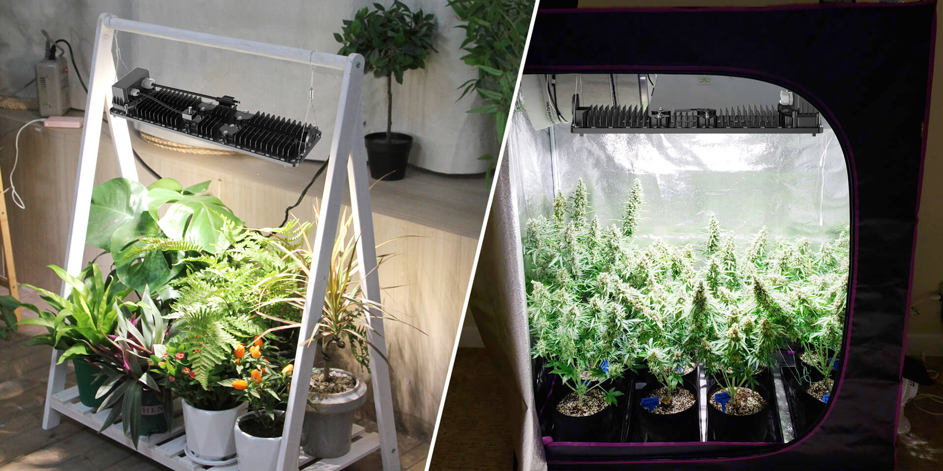 Dimmable LED Grow Light with Samsung LM301B Diodes - Thumbnail 4