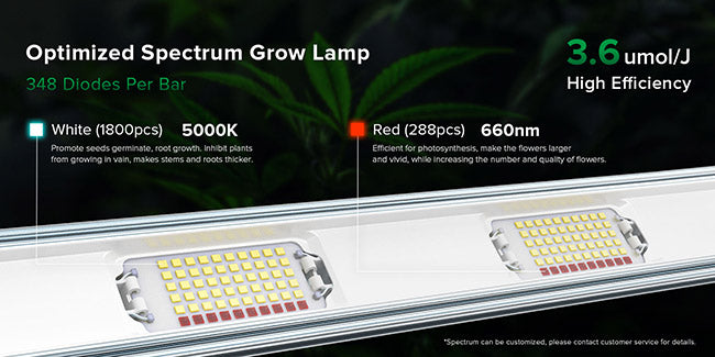 Optimized Spectrum Grow Lamp，348 Diodes Per Bar，Up to 3.6 umol/J High Efficiency.