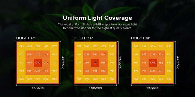 Uniform Light Coverage：The most uniform & dense PAR map allows for more light to penetrate deeper for the highest quality plants.