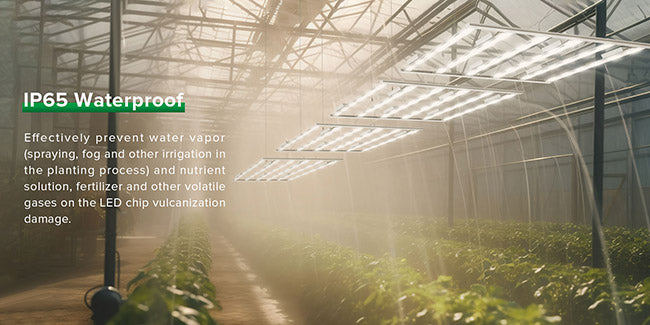 IP65 Waterproof：Effectively prevent water vapor(spraying, fog and other irrigation inthe planting process) and nutrientsolution, fertilizer and other volatilegases on the LED chip vulcanization damage.