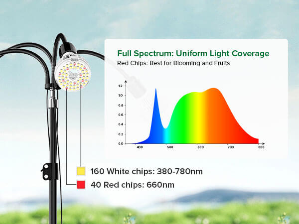 Full Spectrum: Uniform Light Coverage,Red Chips: Best for Blooming and Fruits.
