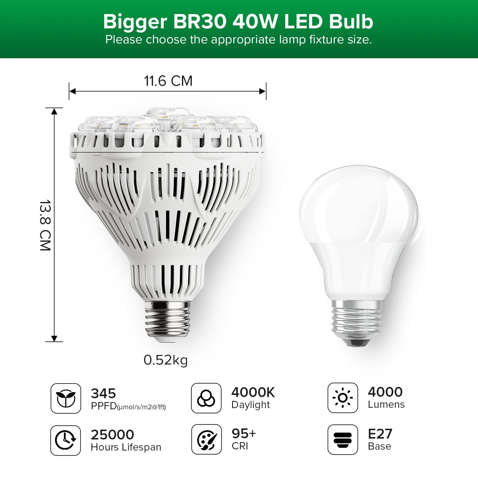 BR30 40W LED-Pflanzenlampe mit Fernbedienung