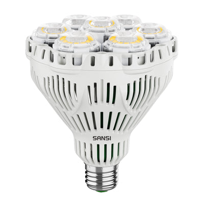 BR30 40W LED-Pflanzenlampe mit Fernbedienung