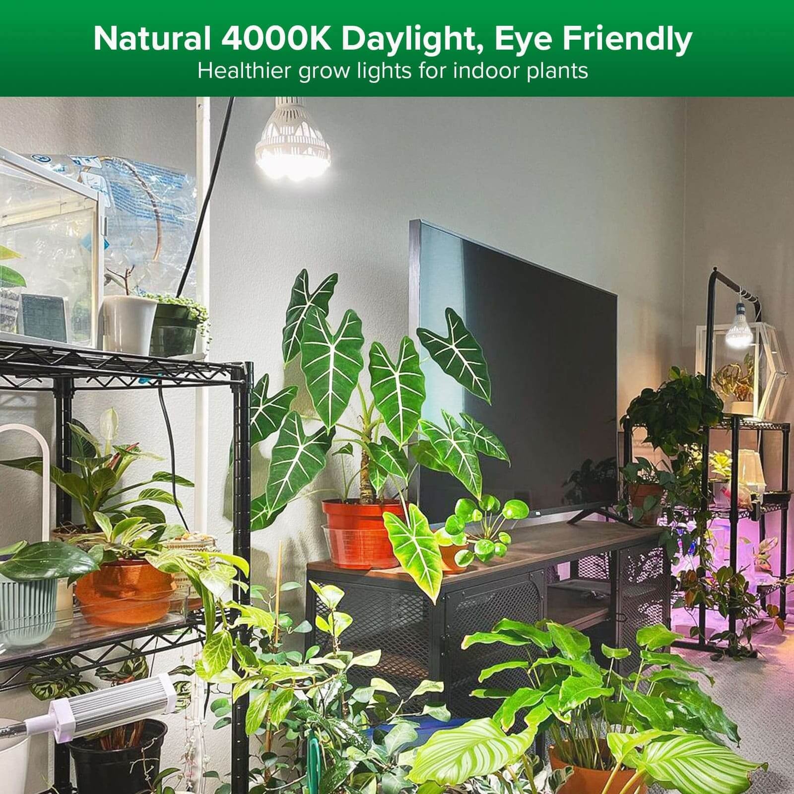BR30 36W LED Grow Light Bulb