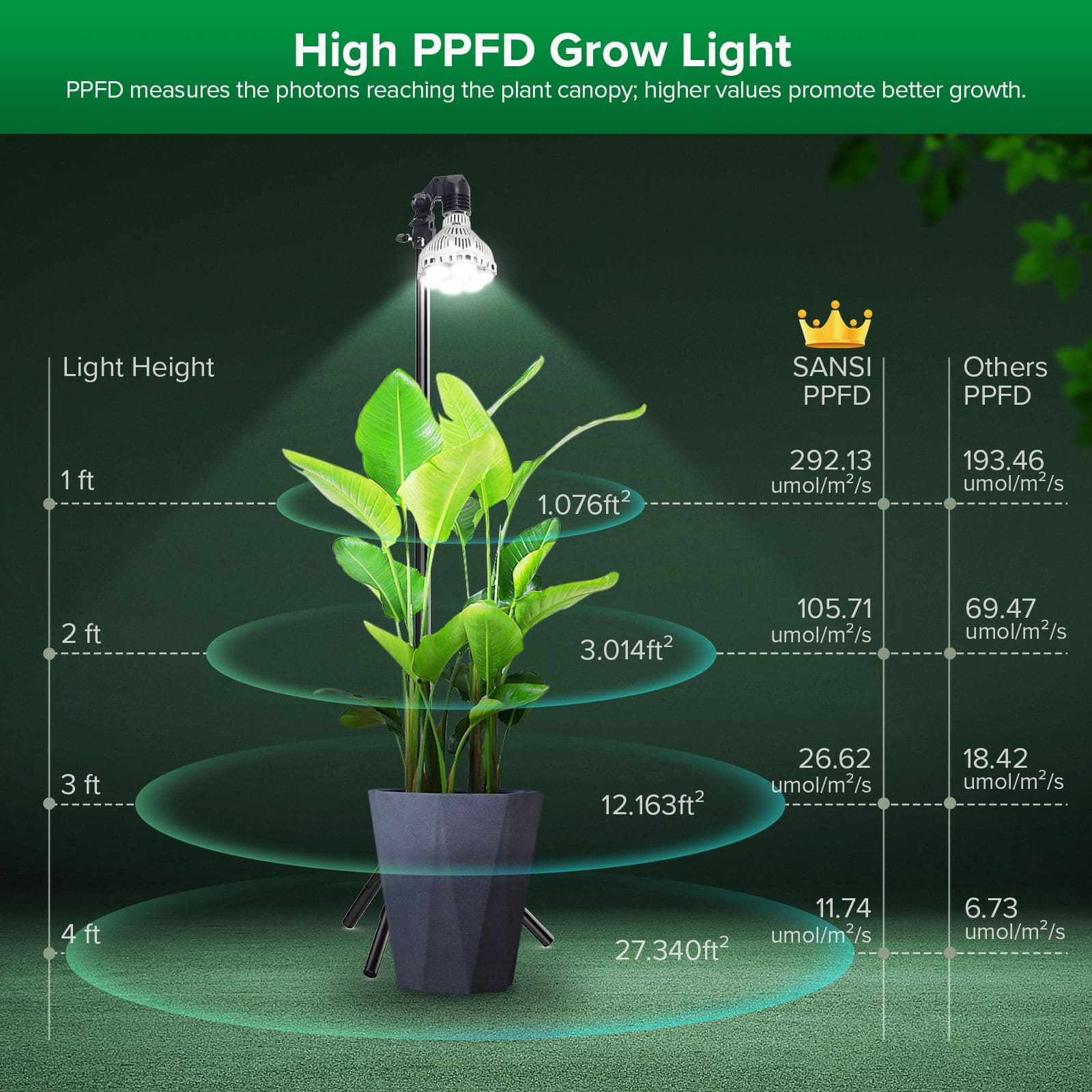 Control light plants store