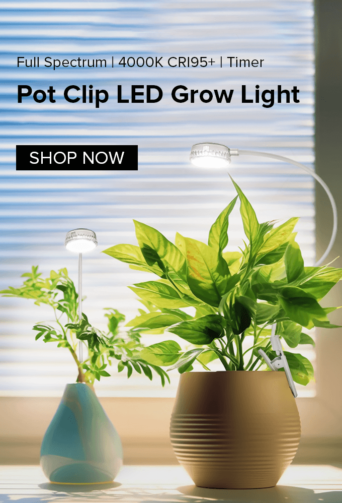 Cheap grow lights for sale deals