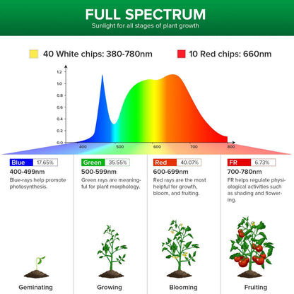 PAR25 30W LED-Wachstumslampe (NUR USA)