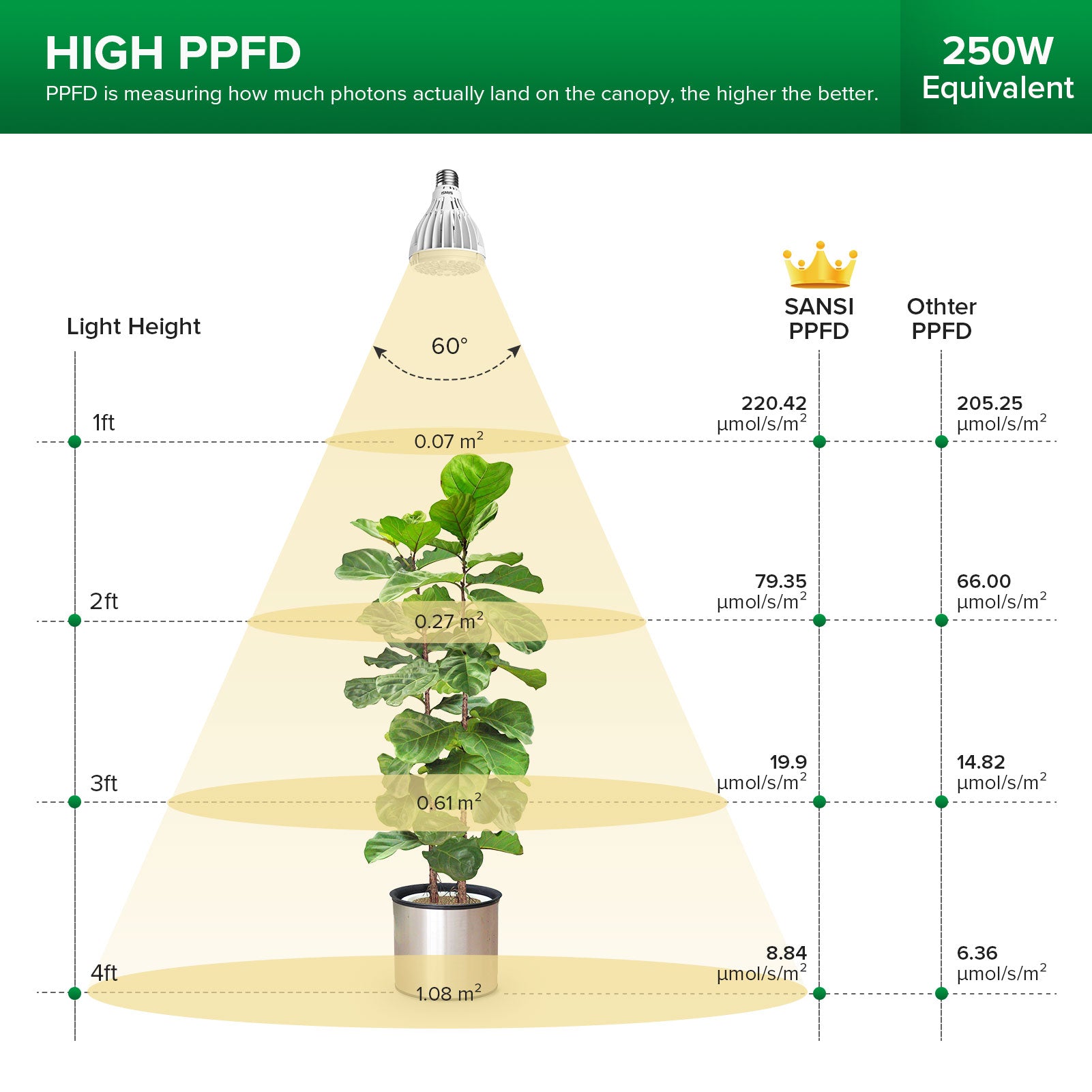 PAR25 30W LED-Wachstumslampe (NUR USA)