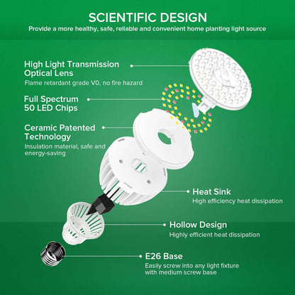 PAR25 30W LED-Wachstumslampe (NUR USA)