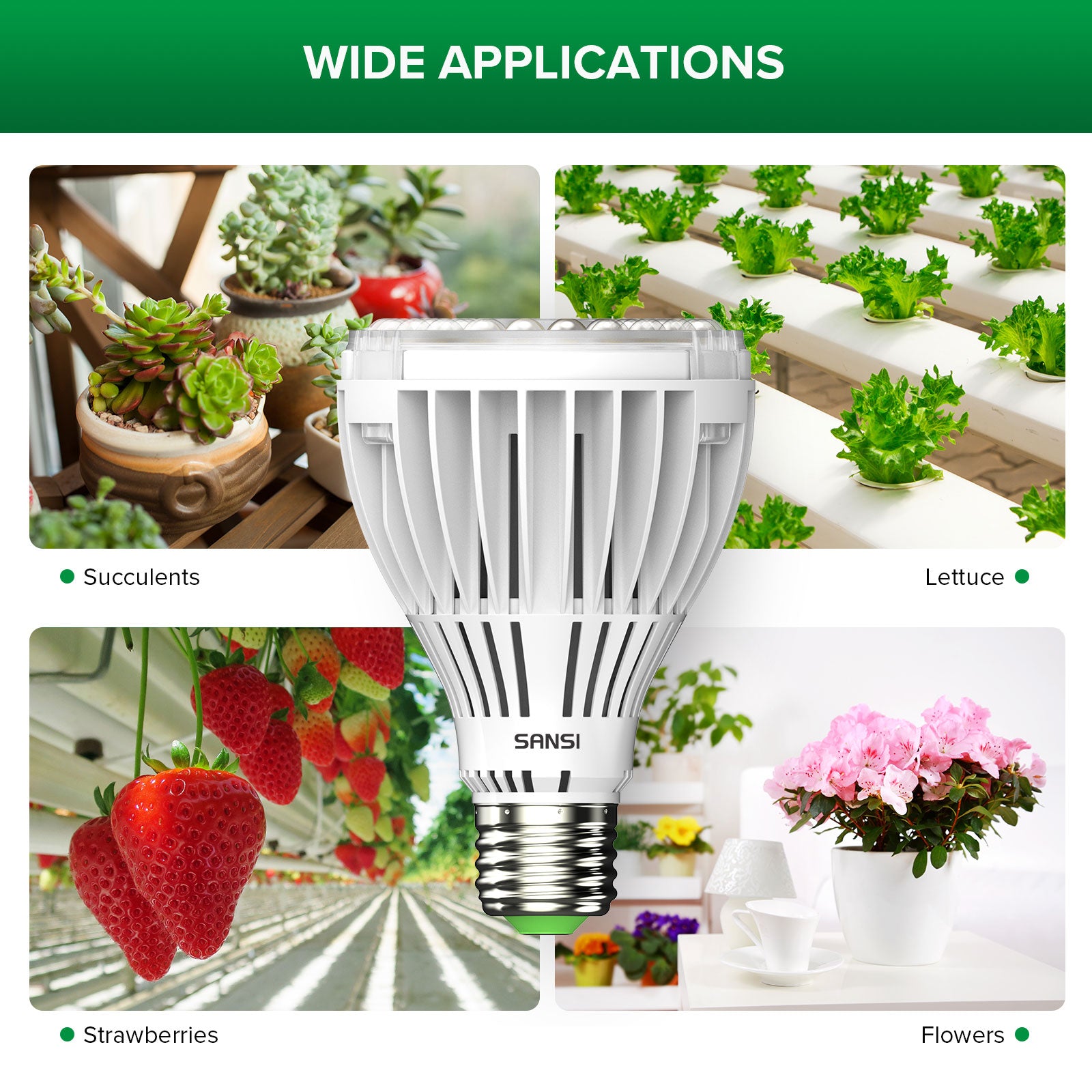 PAR25 30W LED-Wachstumslampe (NUR USA)