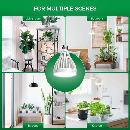 PAR25 30W LED-Wachstumslampe (NUR USA)