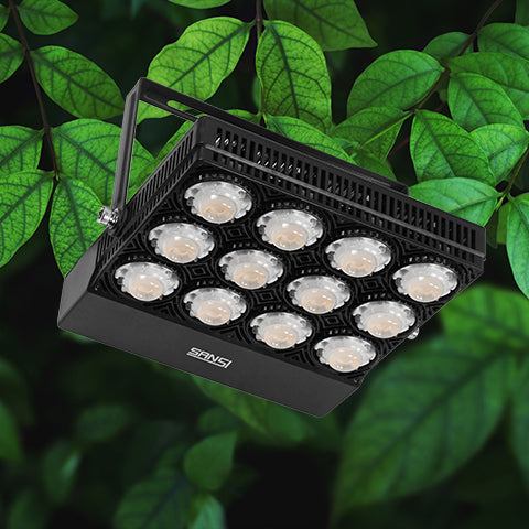 Product category：Panel Grow Light.