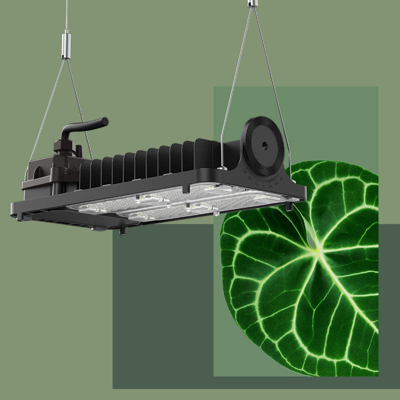 Product category：Panel Grow light.