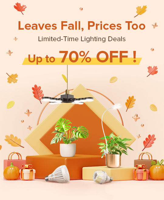 Leaves Fall,Prices Too! Limited-Time Lighting Deals, Up to 70% OFF!