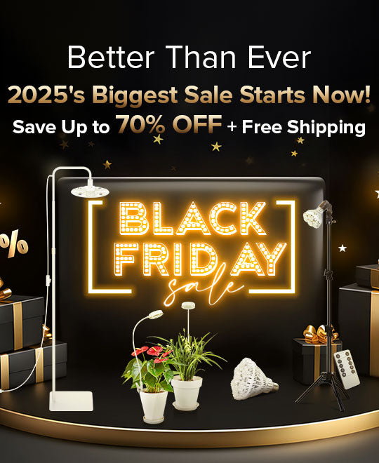 SANSI Black Friday sale promotion with neon sign, gift boxes, and decorative items on a dark background.