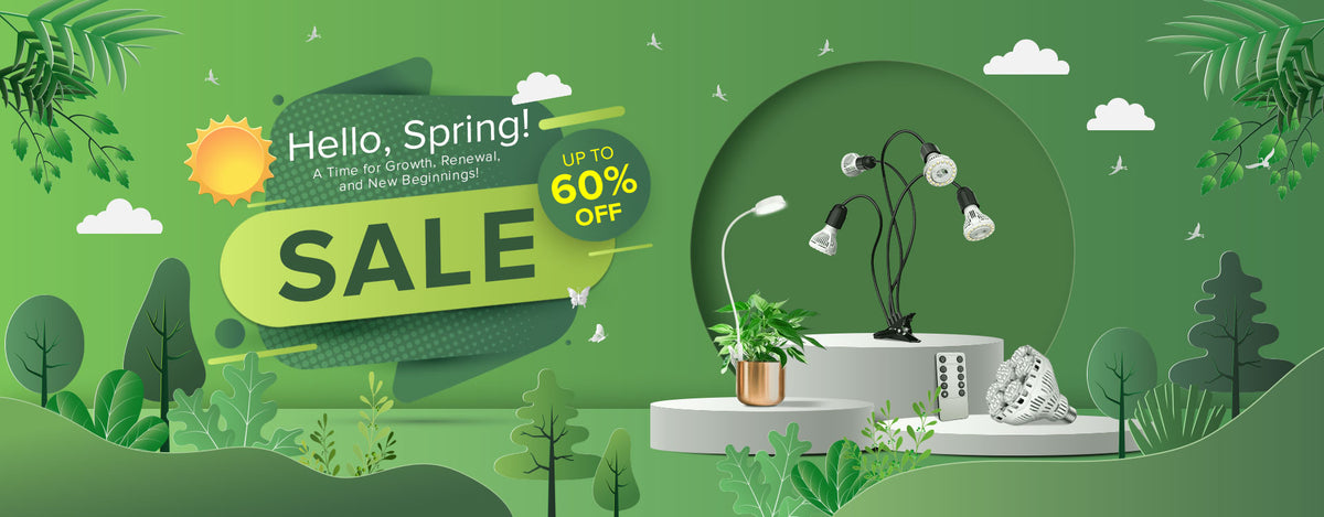 SPRING SALE