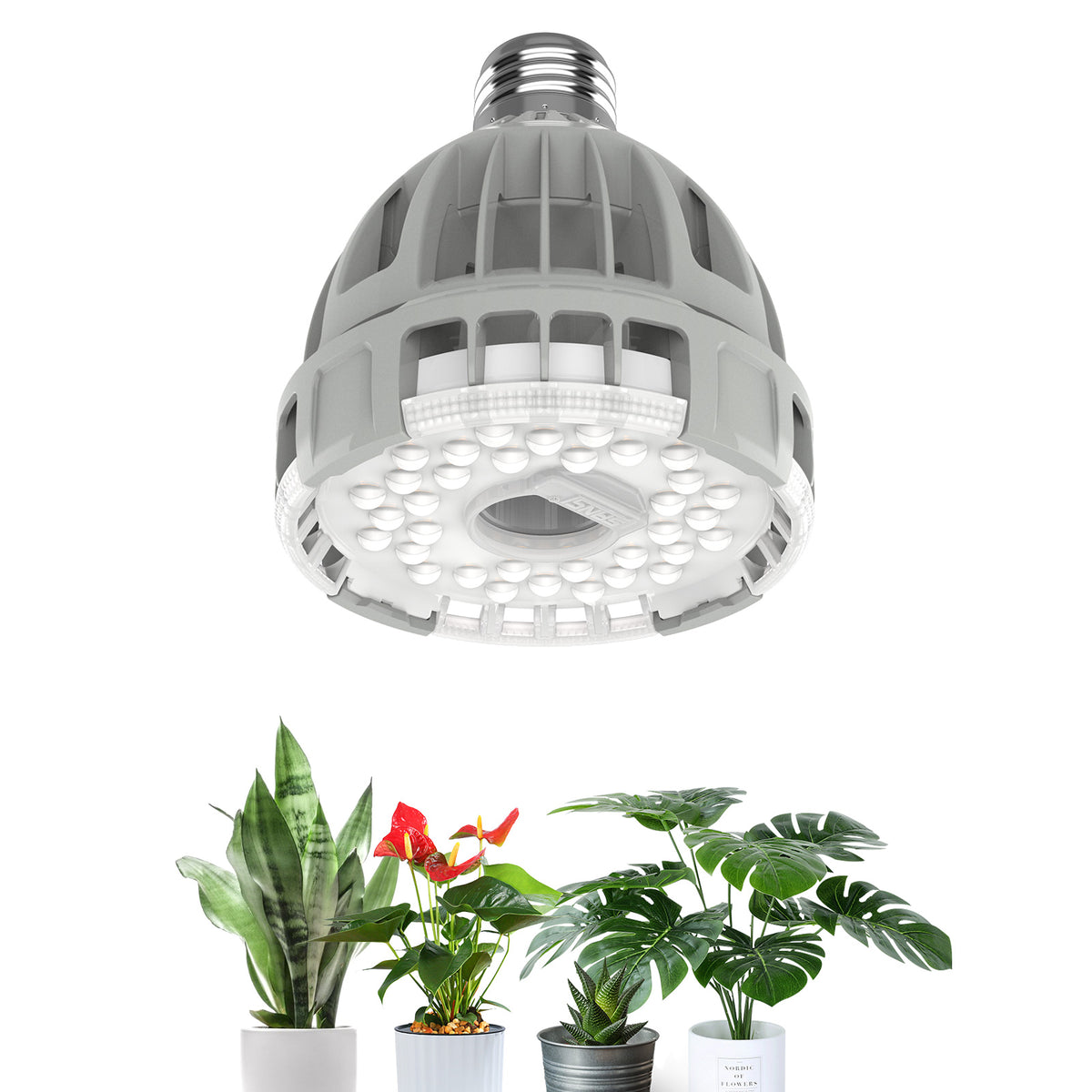 SGLEDs PAR25 15W Grow Light Bulb (US ONLY)