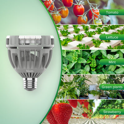 SGLEDs PAR25 15W Grow Light Bulb (US ONLY)