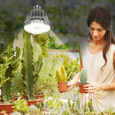 SGLEDs PAR25 15W Grow Light Bulb (US ONLY)