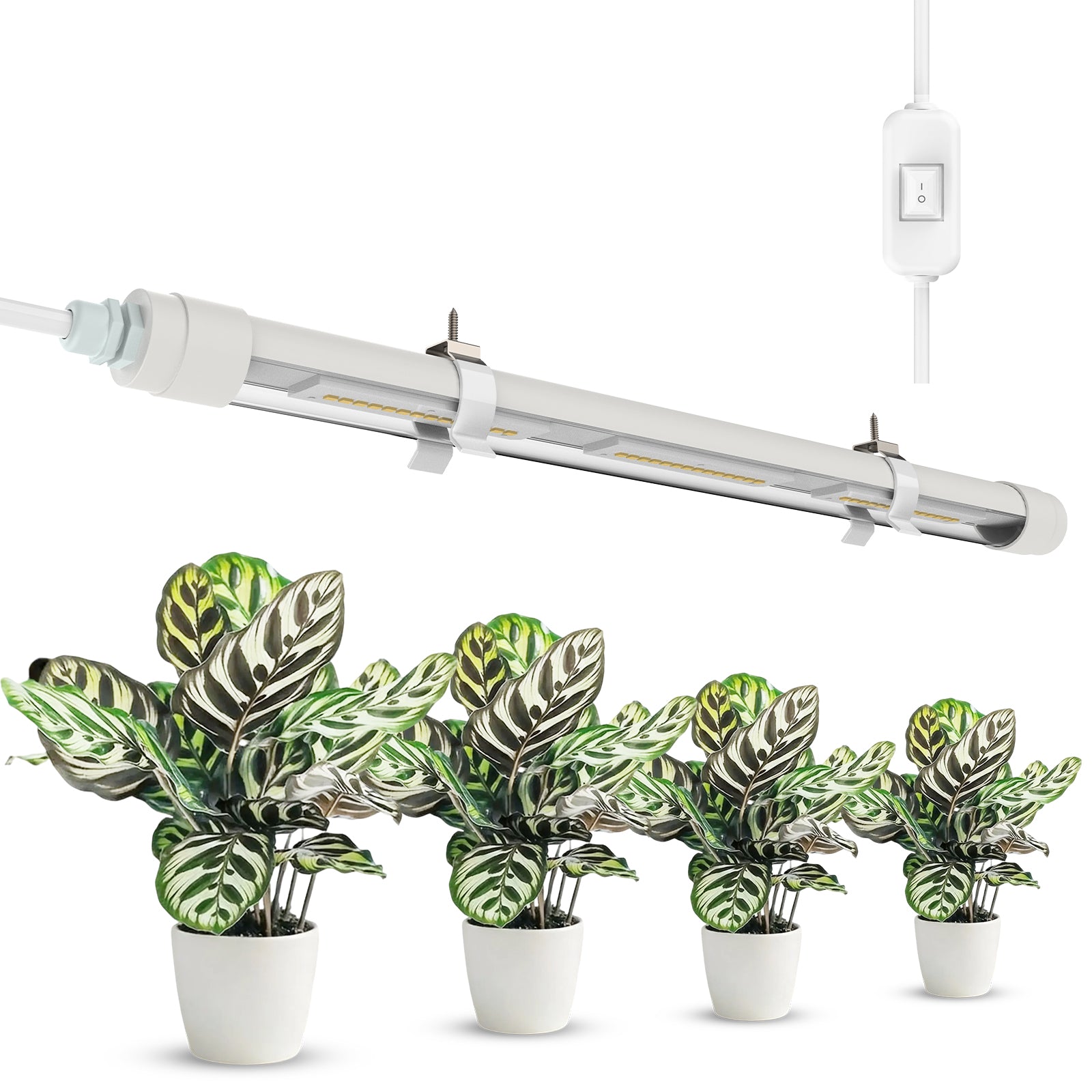 Lampada LED per la coltivazione SANSI T8 25W
