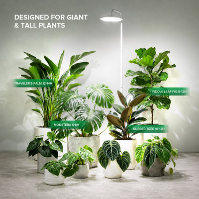 SANSI 100W Tall Standing Grow Light With Remote Control (US/CA ONLY)