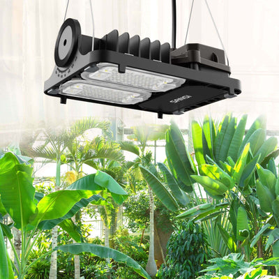 can you use a led flood light to grow plants Dimmable 70W Panel LED Grow Light (EU ONLY)